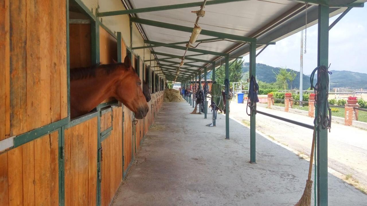 Relais Black Horse Millesimo Εξωτερικό φωτογραφία