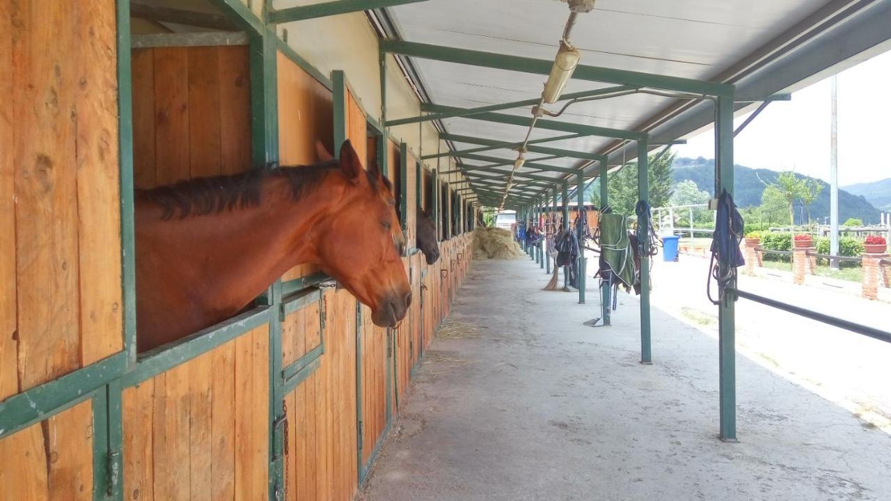 Relais Black Horse Millesimo Εξωτερικό φωτογραφία