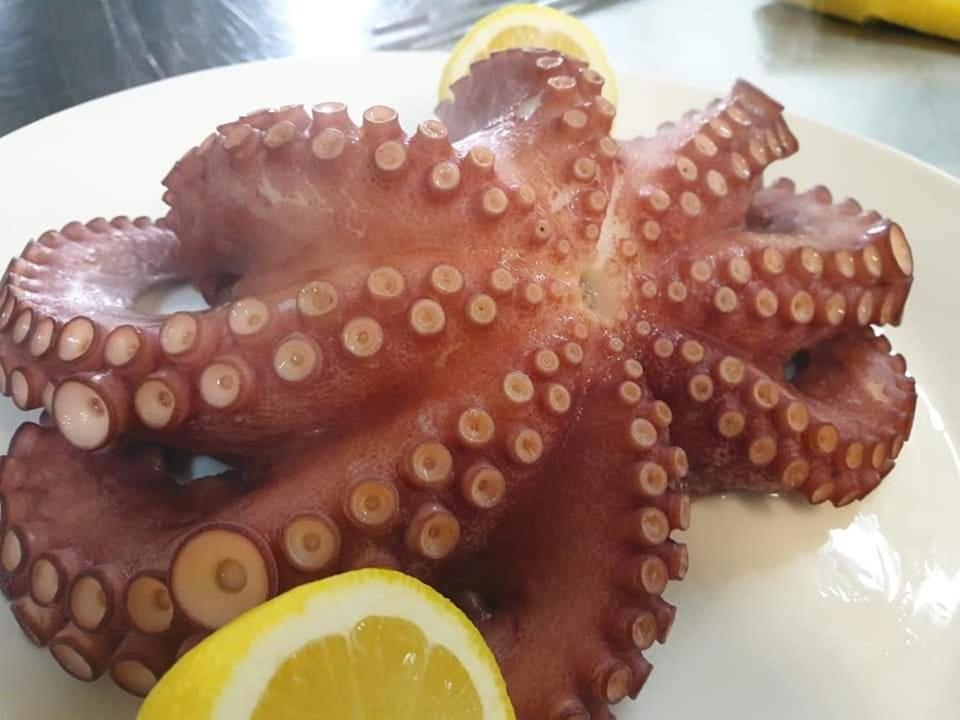 Relais Black Horse Millesimo Εξωτερικό φωτογραφία