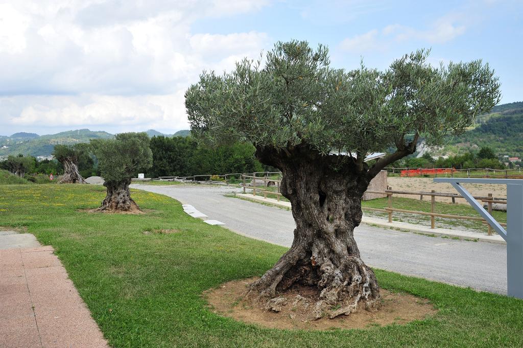 Relais Black Horse Millesimo Εξωτερικό φωτογραφία